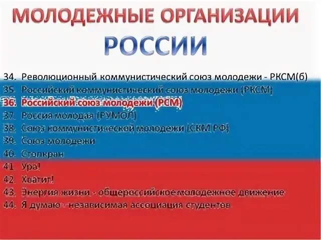 Молодежные политические организации россии. Молодежные организации примеры. Молодёжные организации в России. Молодежные политические организации. Молодежные общественные организации России.