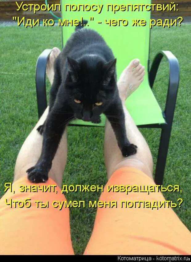 Что значит повинный. Котоматрица. котоматрица лучшее позитив. котоматрица лучшее за все время картинки. что значит извращаться.