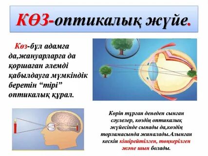 Үлкен сиськи бар колготкидегі порно
