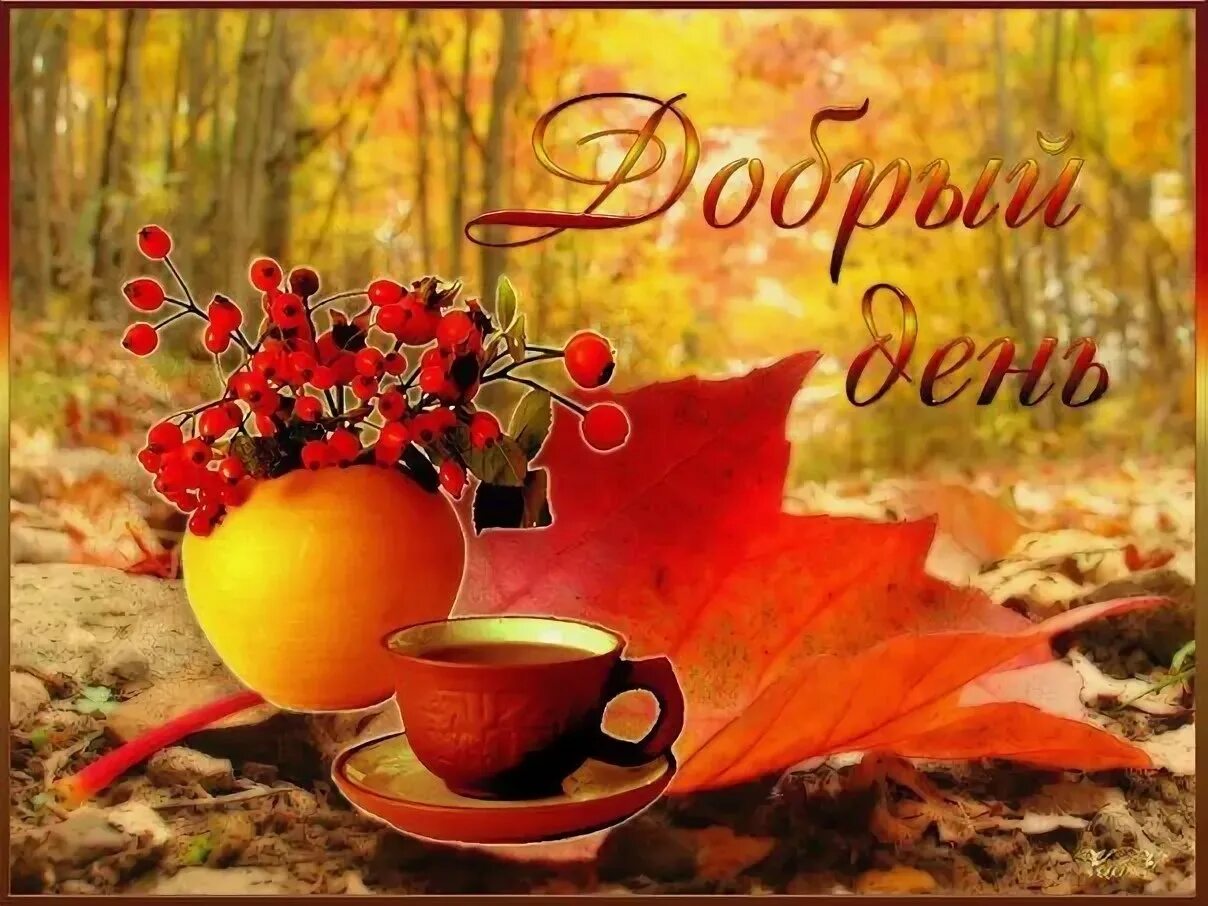 Доброго осеннего дня воскресенья картинки. Добрый день осень. прекрасного осеннего дня. открытки с добрым днём осенние. доброго осеннего дня и хорошего настроения.