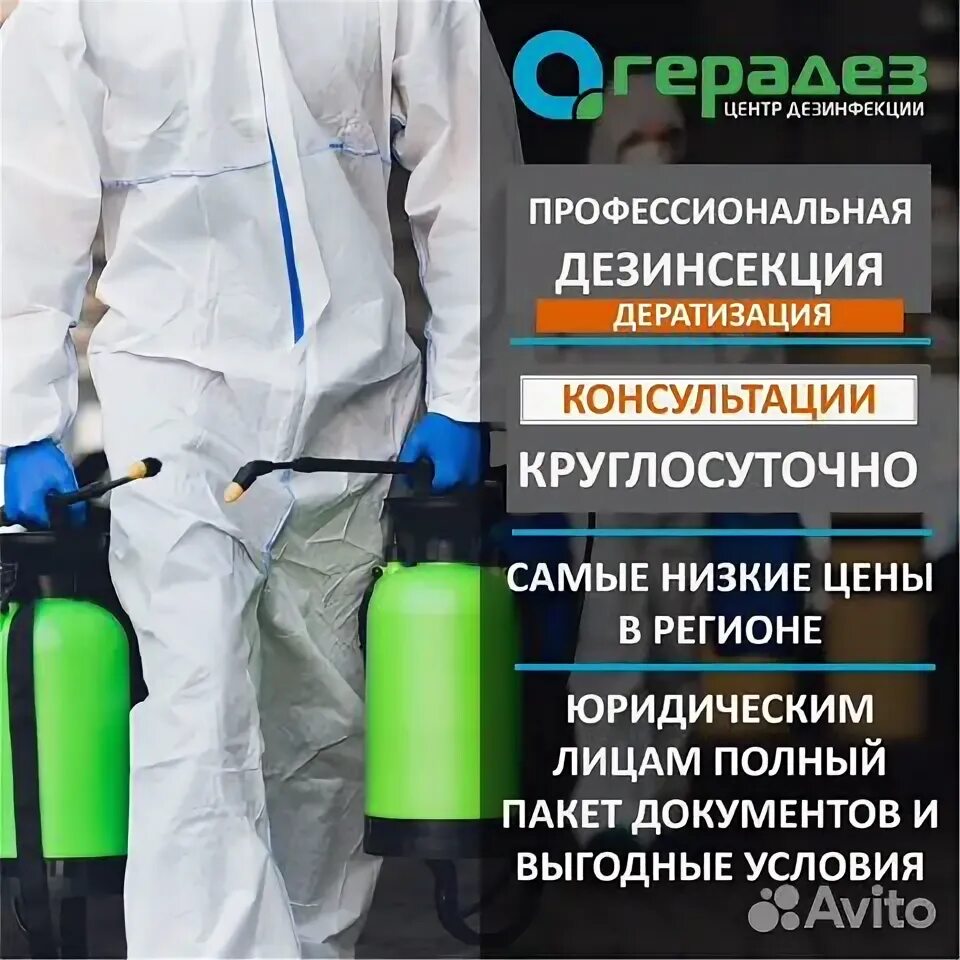 Дезинфекция от клопов. Дезинфекции герадез. Герадез киров. Дезинфекции герадез. Герадез киров.