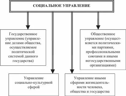 Место государственного управления в системе социального управления