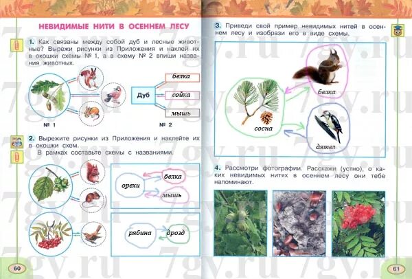 Окружающий мир 2 класс 32 35. Невидимые нити в осеннем лесу окружающий мир 2 класс Плешаков. Схема невидимых нитей в осеннем лесу 2 класс. Схемы невидимых нитей окружающий мир пример. Невидимые нити примеры окружающий мир 2.