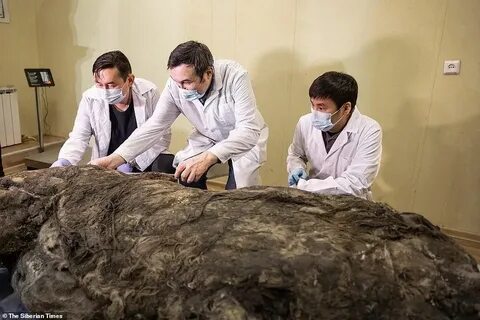 25 000 лет