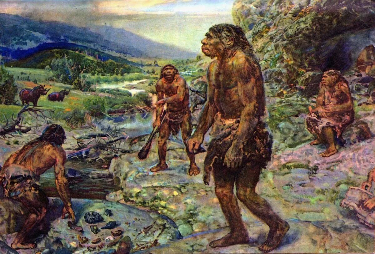 Хомо хабилис. Хомо хабилис палеоантропы. Человек прямоходящий homo erectus. Питекантроп образ жизни. Австралопитек хомо хабилис хомо эректус.