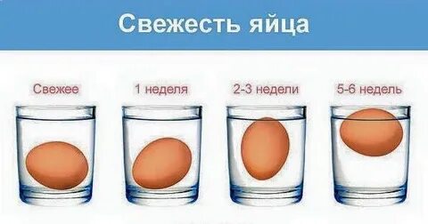 Как понять что яйцо испортилось сырое