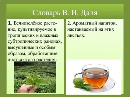Исследовательская работа чай