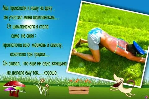 Не оставляй меня на даче