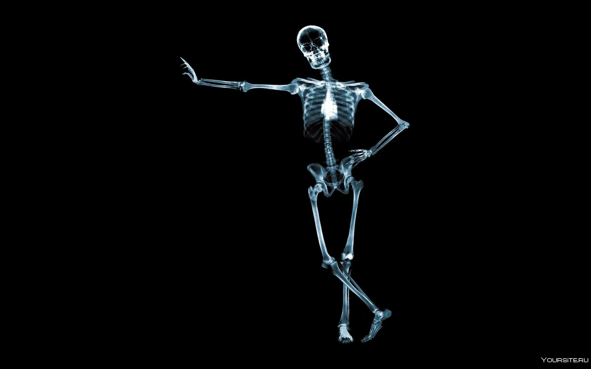 Скелет человека. Скелет на черном фоне. Скидеты на чёрном фоне. Скелет на темном фоне. Заставка скелета
