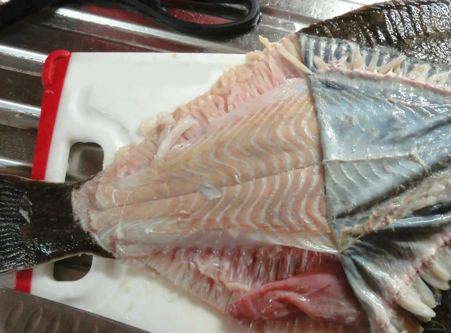 Камбала рыба филе. Разделать камбалу для жарки. Потрошение камбалы. Камбала рыба филе. Потрошение камбалы.