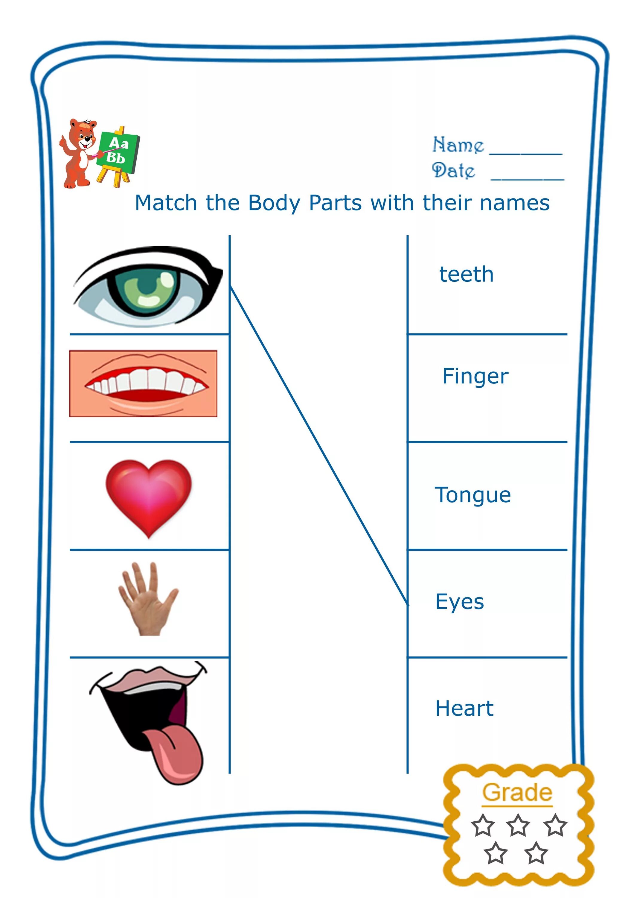 Human matching. Части тела на английском Worksheets. Body Parts Match. Body Parts matching. Части тела Worksheets for Kids.