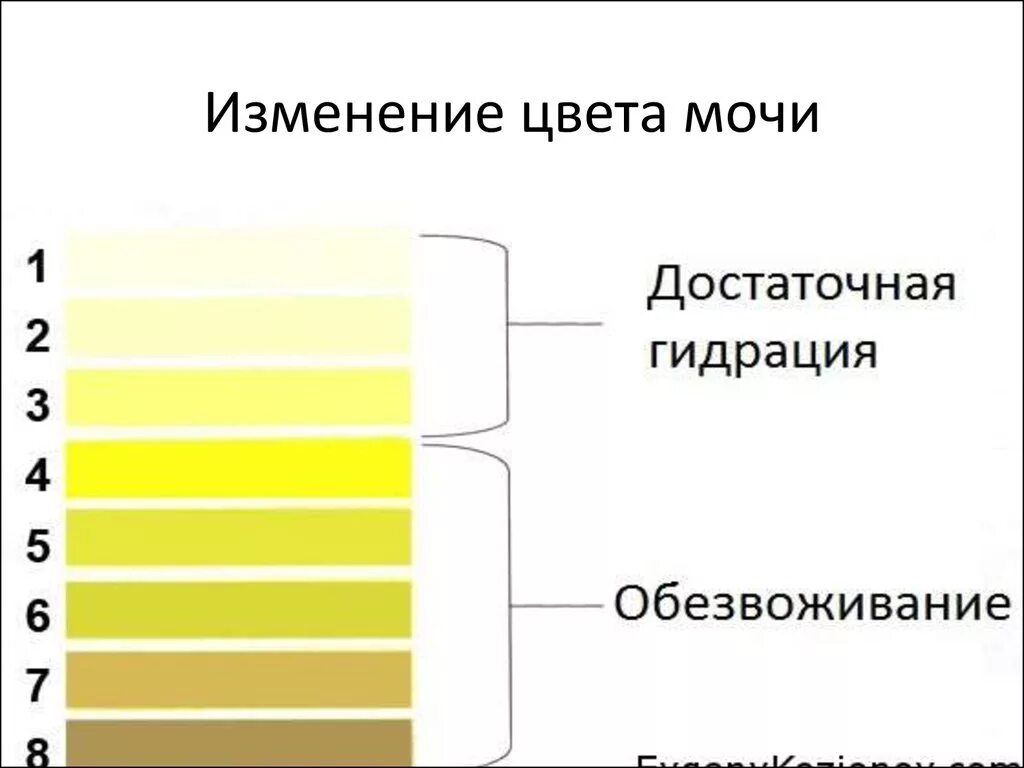 Почему кровь желтая