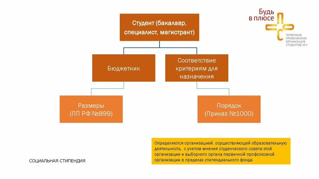 Бакалавр это. Бакалавр или специалист. Бакалавр специалист Магистр разница. Бакалавр инженер Магистр. Студент бакалавр специалист магистрант.