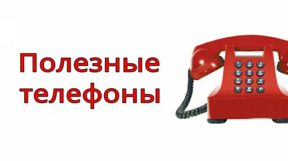 Нужен телефон доставки. Важные телефоны. Картинка звоните по номеру телефона. Телефоны всех служб помощи. Полезные телефоны.