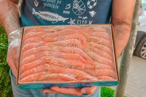 Свежемороженая аргентинская креветка