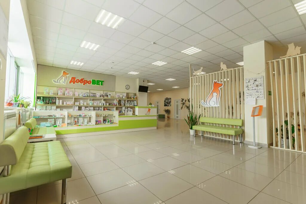 добровет обнинск ветклиника. добровет железнодорожная ул 1а. добровет обнинск ветклиника. калужская область обнинск железнодорожная улица 1а добровет. ветеринарная клиника омулевского иркутск.