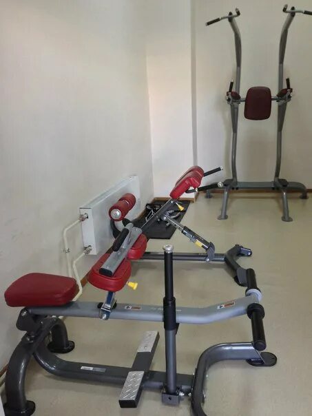 Викинг тамбов спортзал. Викинг поликарпова 4. Тренажер баттерфляй фореман. Зал викинг на пионерской. Викинг тренажерный.