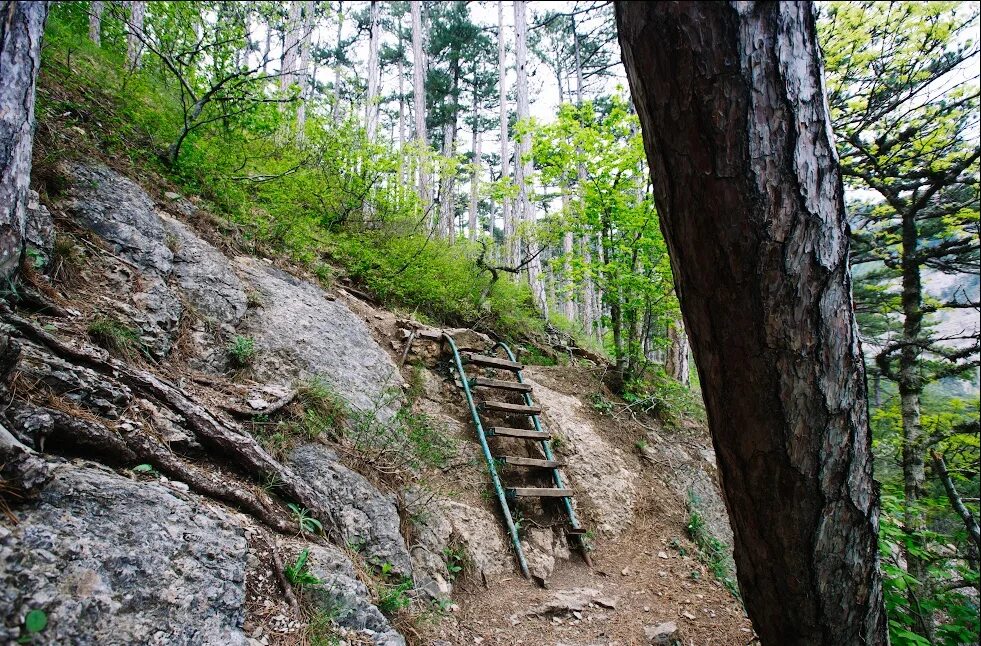 Боткинская тропа. Боткинская тропа в Крыму. Боткинская тропа в Крыму маршрут. Боткинская тропа Ялта маршрут.