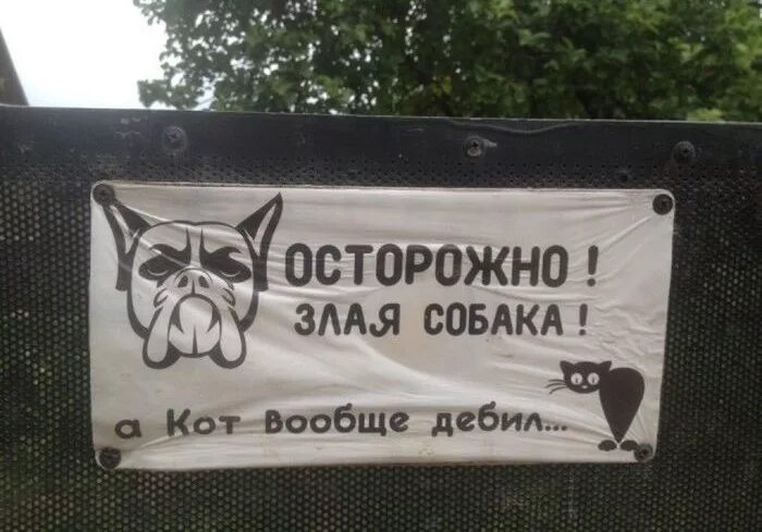 смешные таблички про собак. табличка злая собака а кот вообще дебил. вообще придурок. злая собака а кот вообще дебил. вообще придурок.