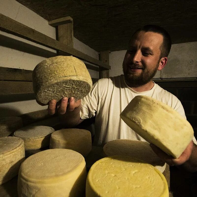 Какой купить сыр для сырного. Чеддер Сыродел. Сыродел в сыроварне. Производители сыра.