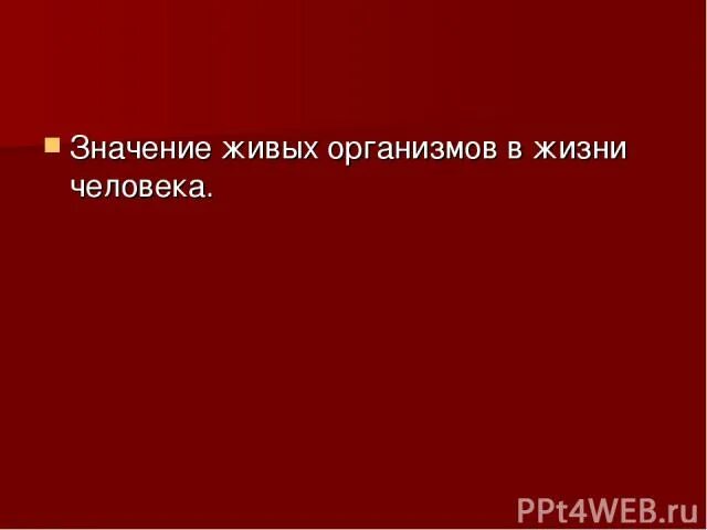 И значит мы живы. Значение живых организмов в жизни человека. Значение живых организмов в жизни. Значение живых организмов в природе. Значение живых организмов в природе и жизни человека.