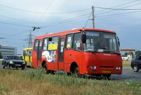 Тольятти ягодное автобус