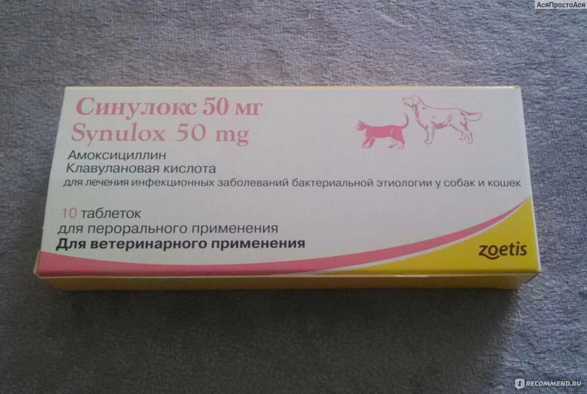 Синулокс дозировка. Синулокс 50 мг. Синулокс 50 мл. Синулокс 50 мг таблетки. Синулокс 50 мг для кошек.