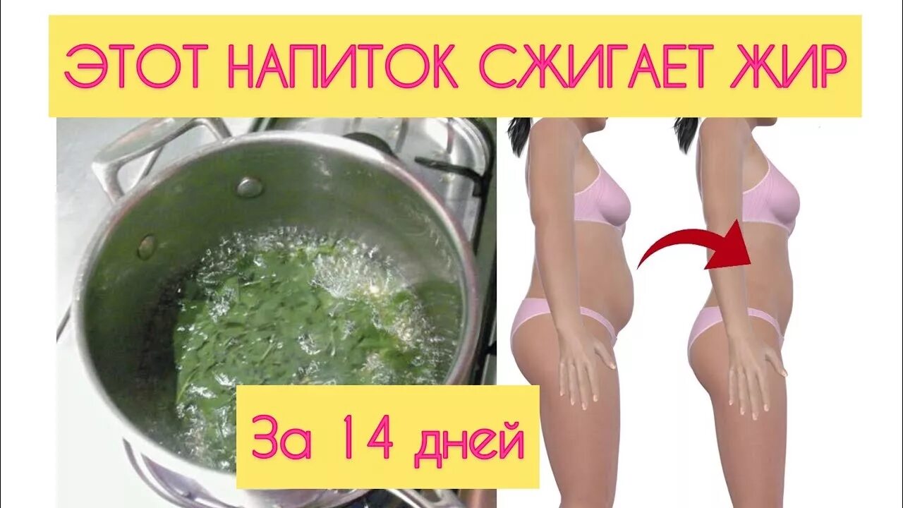 Как уходит жир с живота. Дренажный напиток для похудения. drainage для похудения. дренаж для похудения. как жир уходит из организма при похудении.