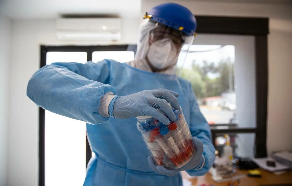 Новый штамм коронавируса март. Первые случаи заражения. Первые случаи заражения. Первые случаи заражения. Омикрон штамм коронавируса.