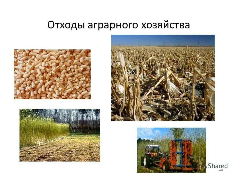 Переработка сельскохозяйственных отходов. Утилизация пищевых отходов. Отходы растениеводства. Сельскохозяйственные отход. Свалка органических отходов.