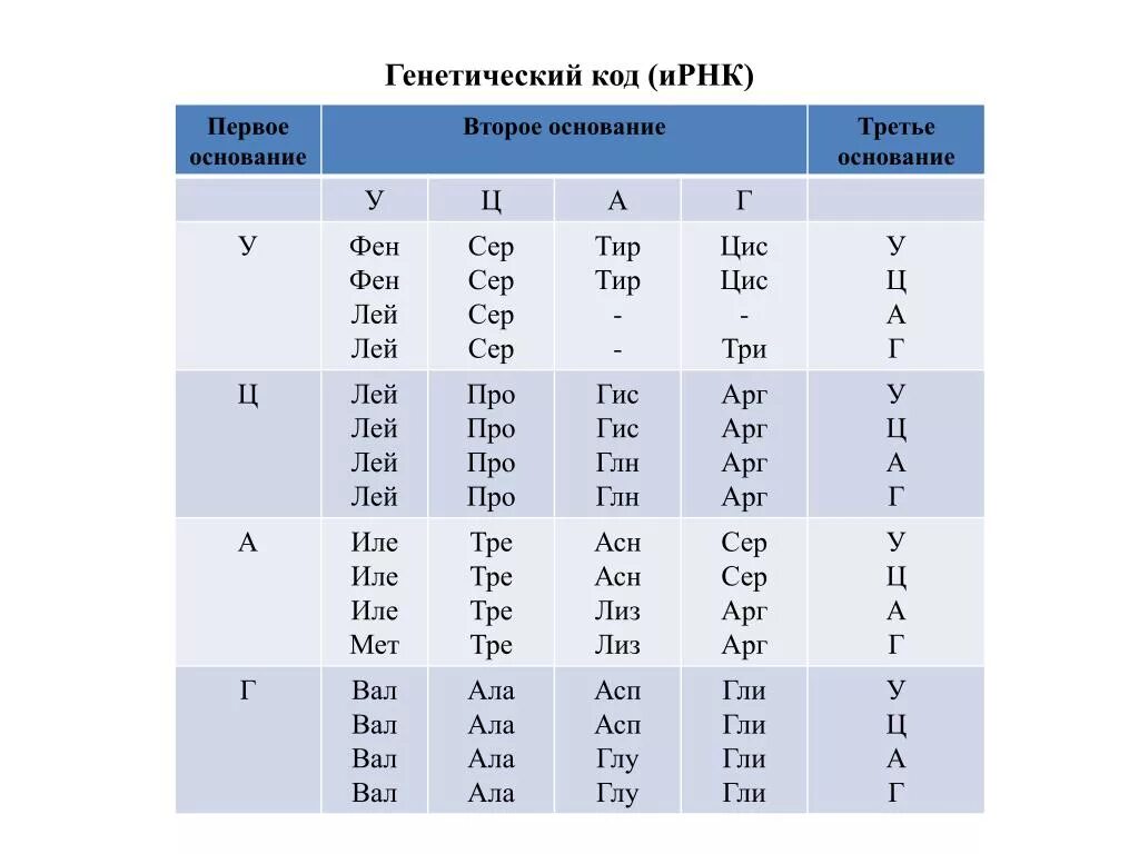 Таблица генетического кода расшифровка. Генетический код таблица ТРНК. Таблица генетического кода ИРНК таблица. Аминокислоты таблица генетического кода. Ген паролей