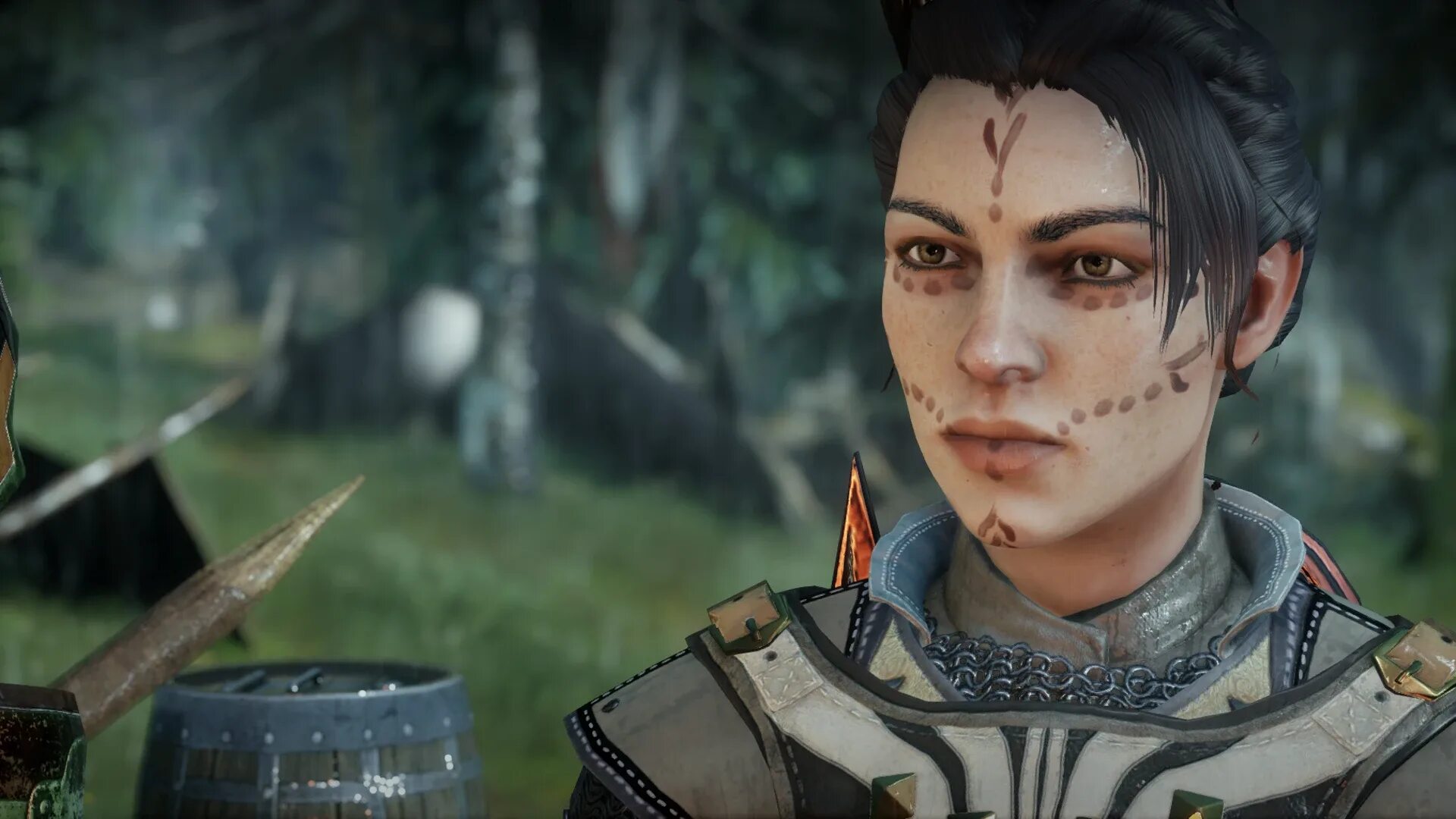 Dragon age Inquisition Тревельян. Стэн Dragon age Inquisition. Драгон эйдж инквизиция леди Тревельян.