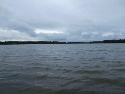 Кучино электроугли