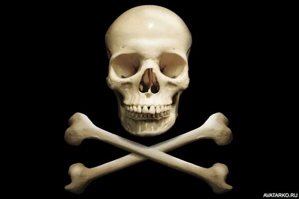 Знак черепа. Череп и две кости. Череп и две кости. Череп на прозрачном фоне. Череп с костями.