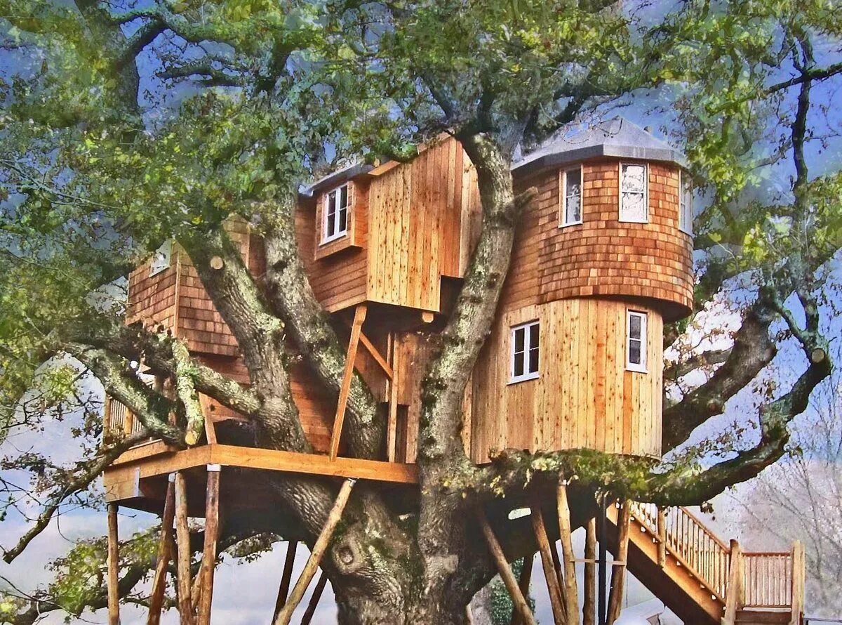 Алникский дом на дереве. Tree House Кишинев. Отель Treehouse домики на деревьях. Необычные домики. Дом дерево где находится