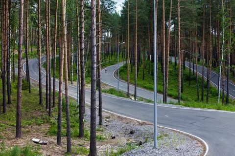 На участке сибирского леса 7 10 занимает