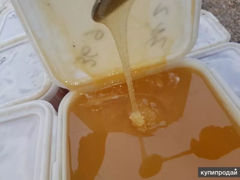 Повышенная влажность мёда. Сбыт меда. Что находят в меде. Цвет меда с фацелии. Что находят в меде.