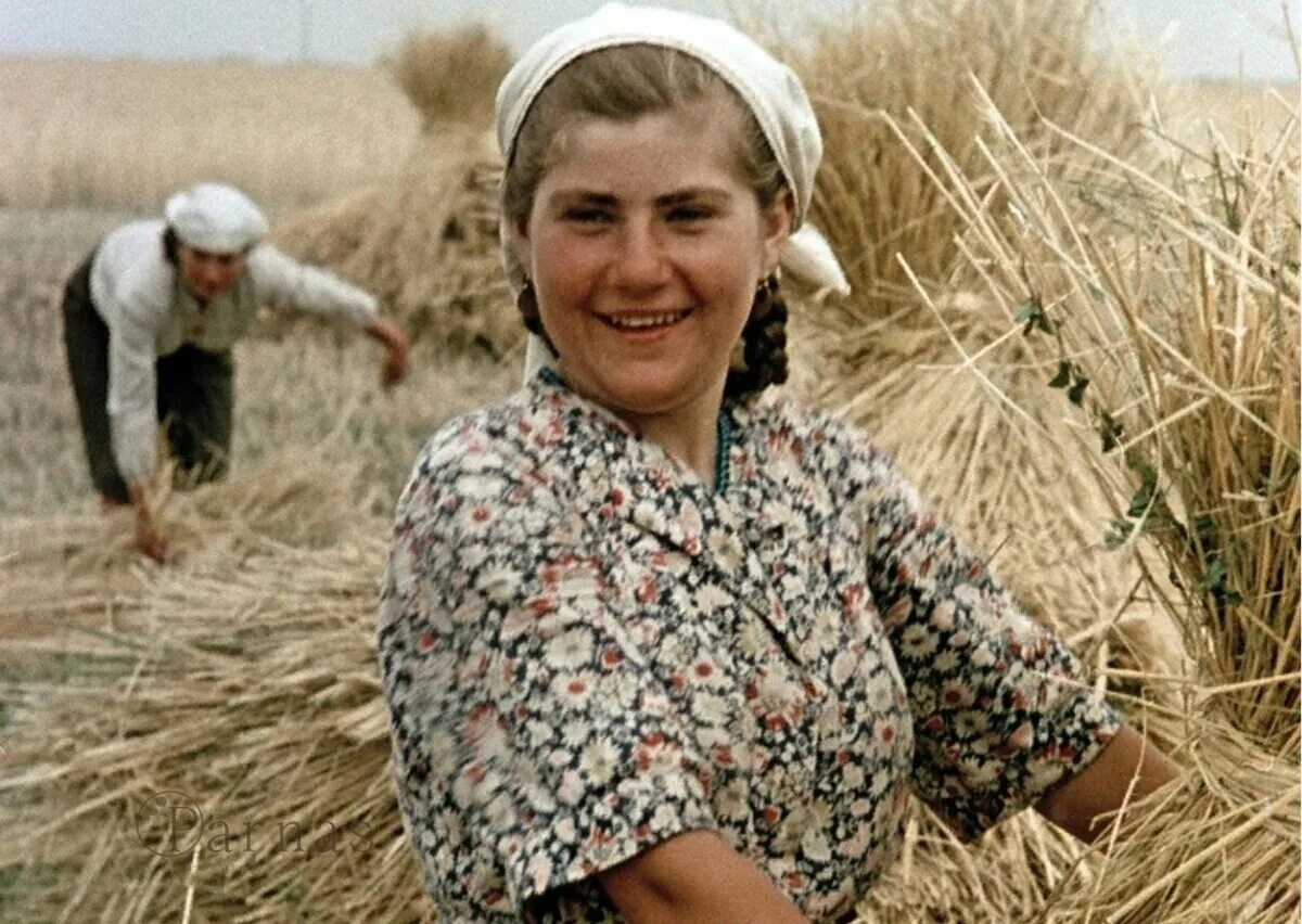 Девушка на тракторе. Колхоз дочь. Девушка доярка. Трактор в деревне. Колхоз девушки.