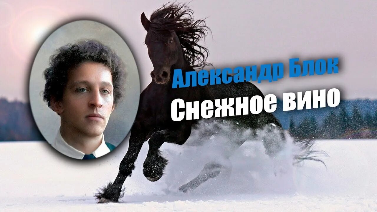 Снежное вино блок. "стихотворения". Снежное вино блок. Шоколадное вино. Снежное вино блок.