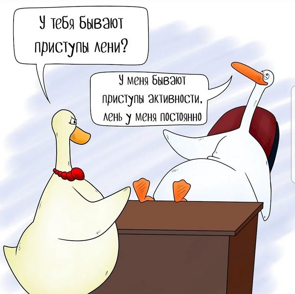 Подработка гусь. Смешной гусь. гусь юмор. гусь прикол. ленивый гусь.