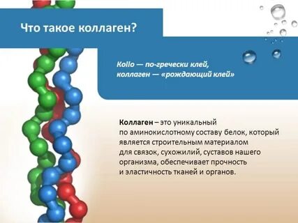 Коллаген роль в организме