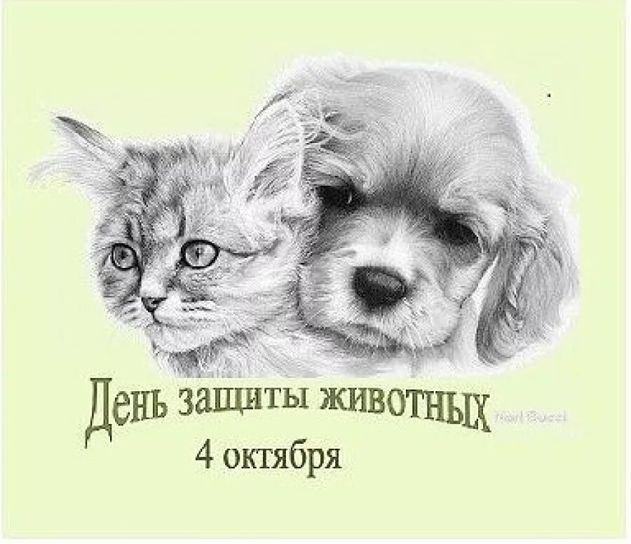 4 октября дата. 4 октября дата