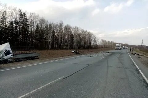 Нсо 24