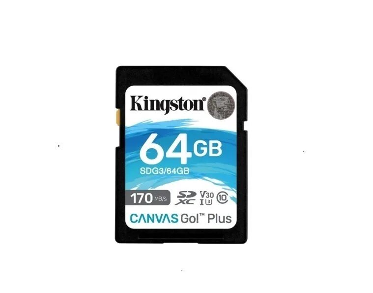 Kingston sd10vg2/32gb. Kingston SDHC sd10vg2 64gb. Kingston sd10vg2/128gb. Kingston Canvas go Plus 64.