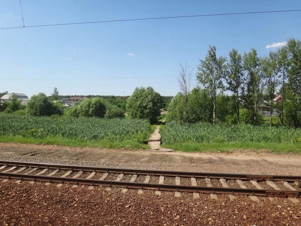 Лесной городок мцд 4. Лесной городок толстопальцево. Станция толстопальцево. Станция кокошкино мцд. Электродепо нахабино.