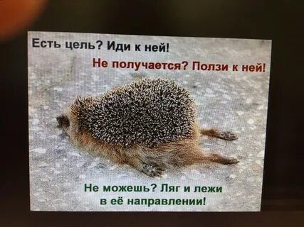 Пойти лежим дальше