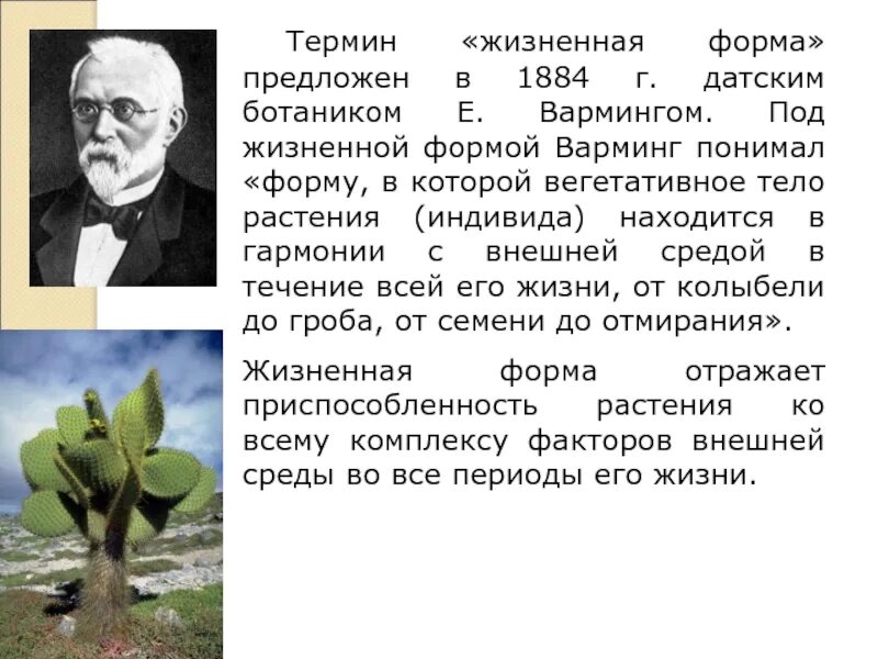Жизненные формы термин. Термин жизненная форма. жизненная форма растений варминг. жизненная форма растений термин. жизненные формы в ботанике.