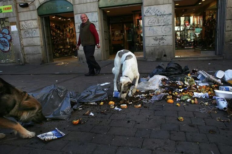 Город весь горит. Обвал метро в санкт-петербурге. Место для сбора мусора во дворе. Маншият-насир город мусорщиков. Последствия забастовки картинки.