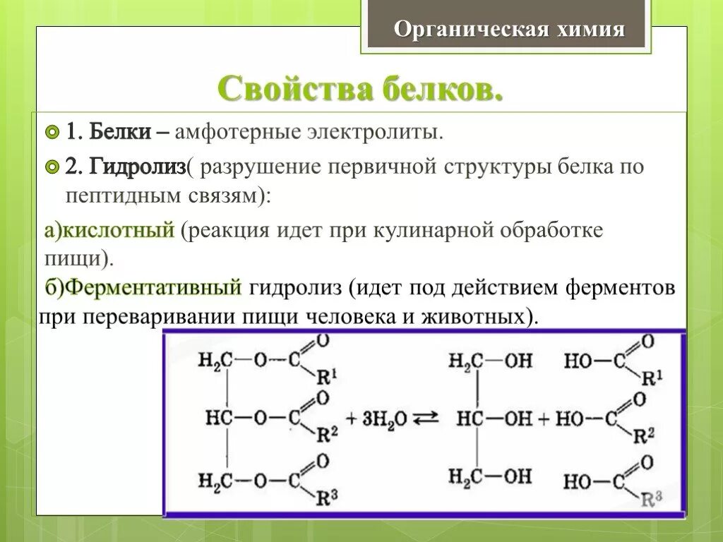 Белки органическая химия структура. Белки химические свойства качественные реакции. Химические свойства белков химия качественные реакции. Гидролиз - разрушение первичной структуры белка.