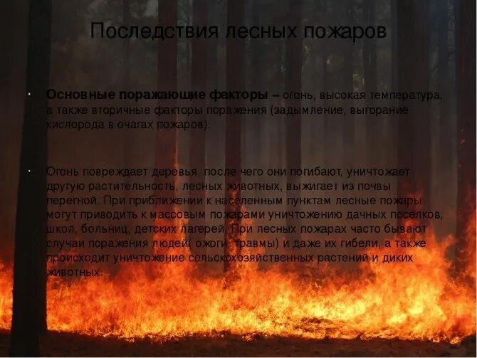 Лес после низового пожара. Природные пожары последствия для человека. Последствия лесных пожаров. Последствия лесных. Природные факторы пожара.